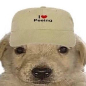 Meet your Posher, Mar!